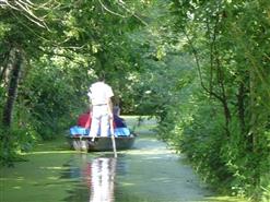 marais-poitevin